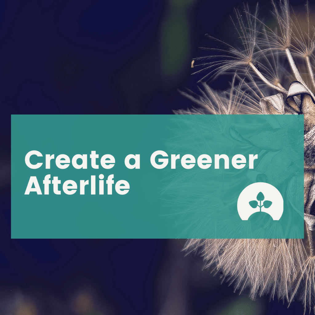 create a greener afterlife with human composting